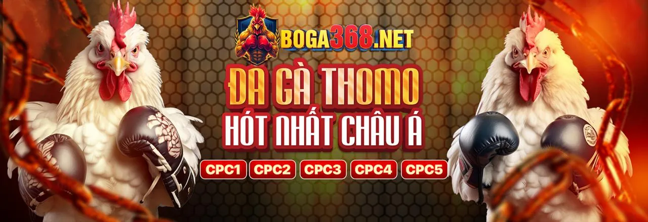 DF999 sân chơi giải trí trực tuyến hàng đầu Việt Nam